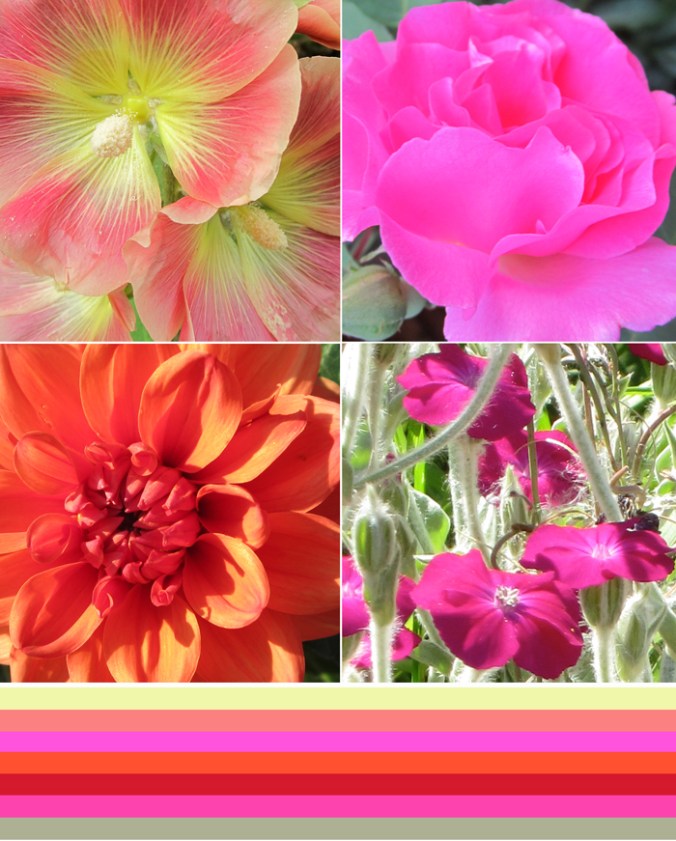 july13gardencolours_web