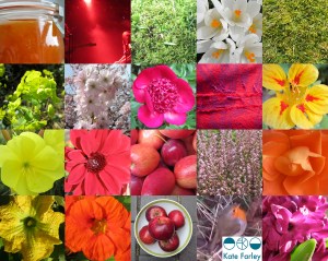 KFarley_colourof2014