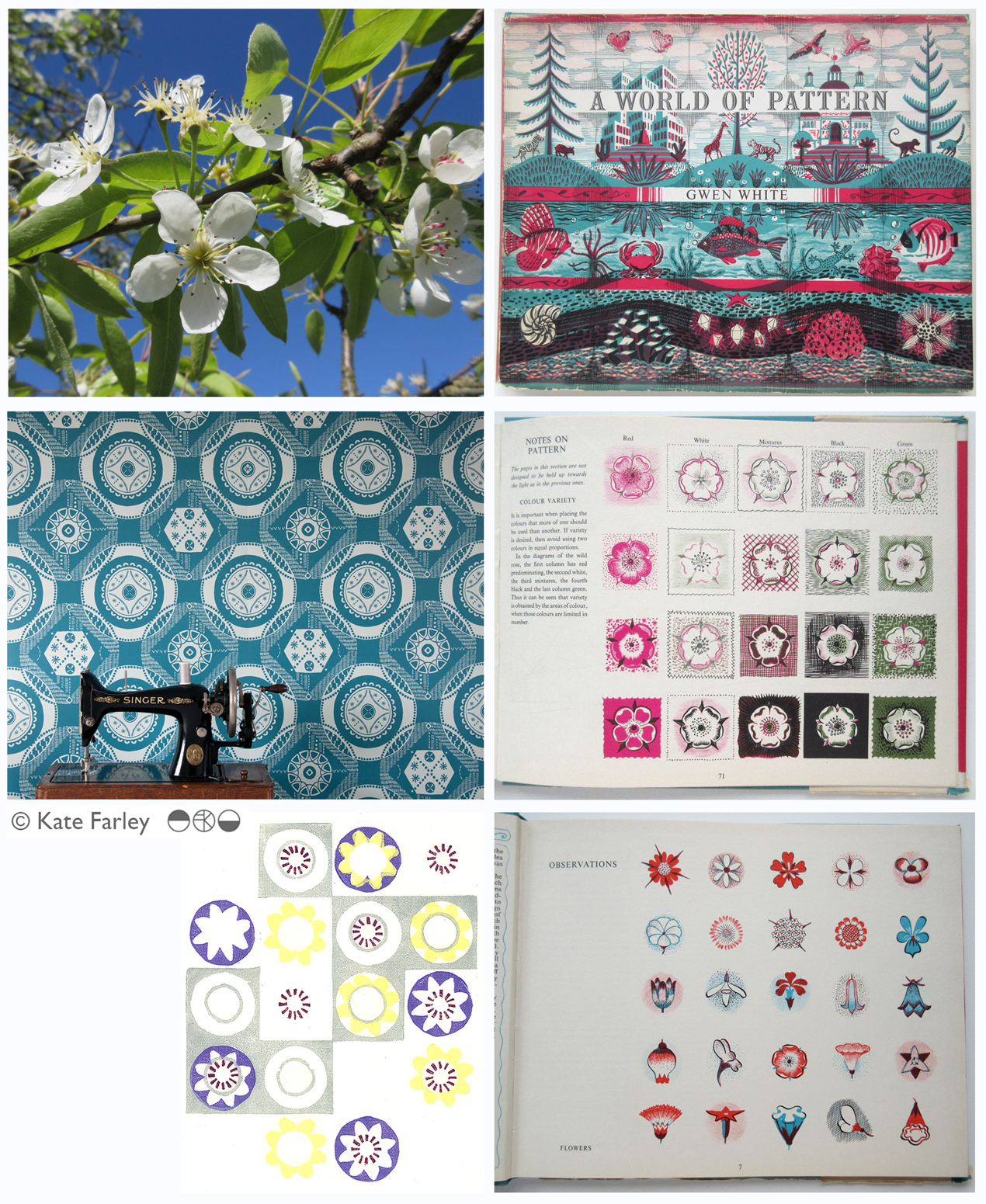 KFarley_drawing_blossom_blog