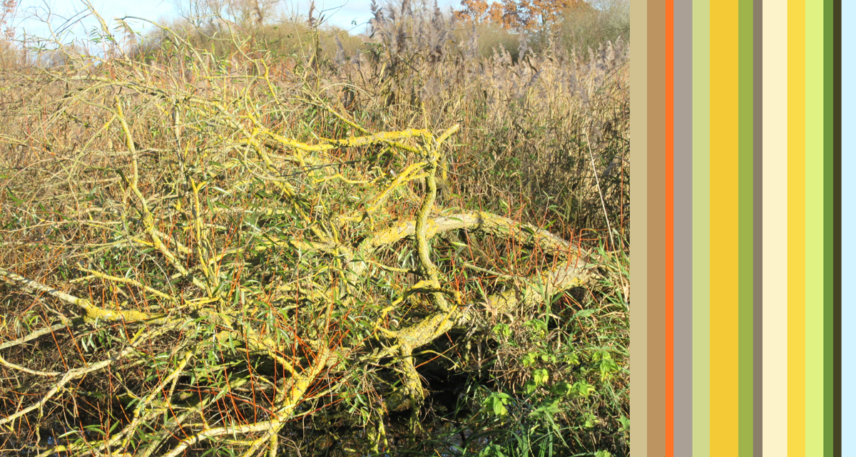 tedellis_naturereserve_palette_100