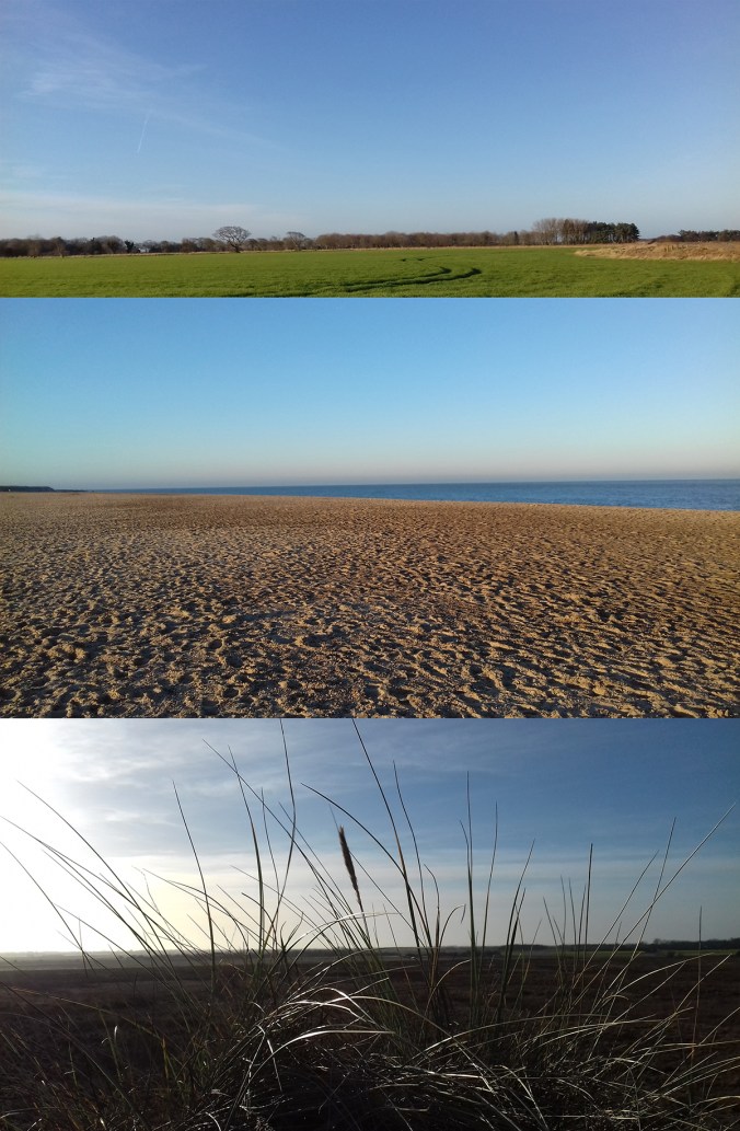 kfarley_norfolk_horizon1