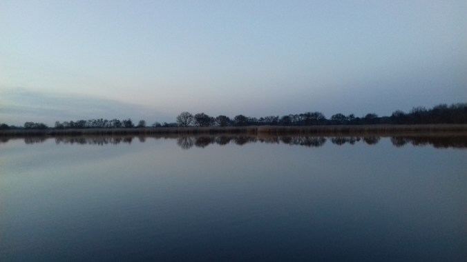 kfarley_norfolk_horizon2