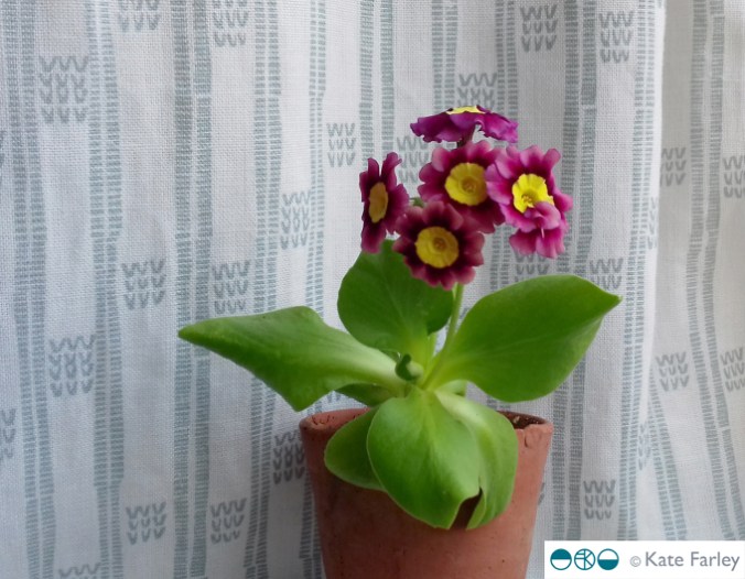 vvv_auricular_katefarley