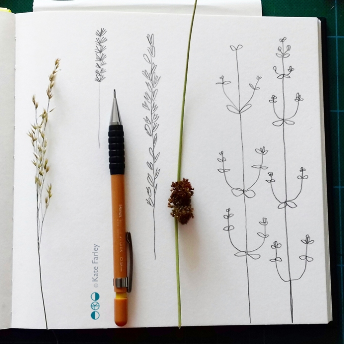 sketchbook_grasslines