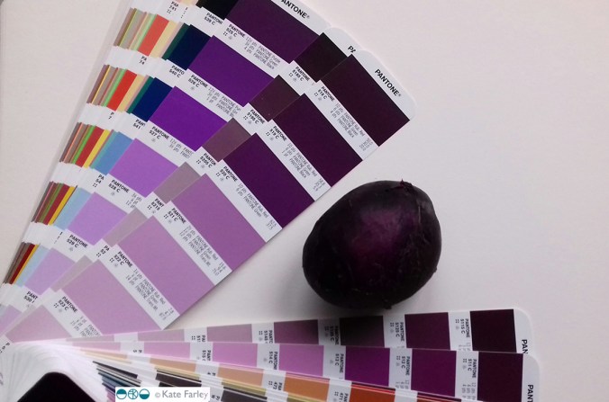 KateFarley_bluedanubepotatoblog