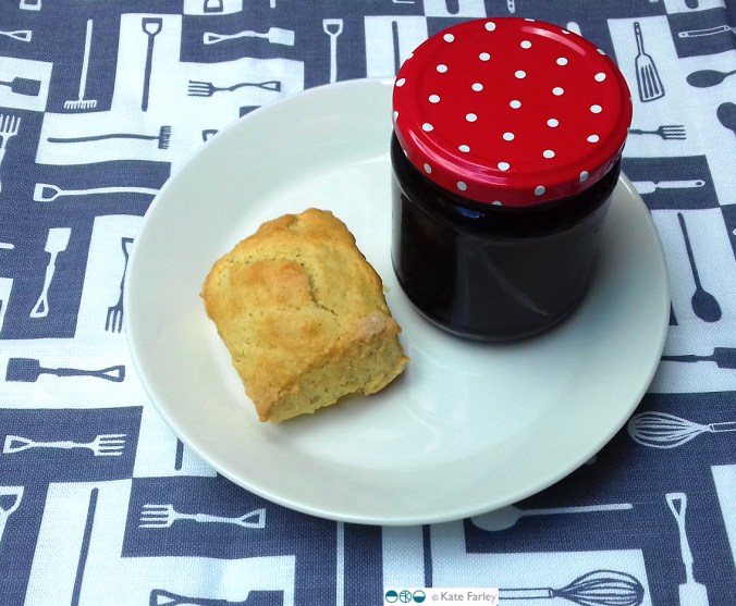 KateFarley_plottoplate_scone_blog
