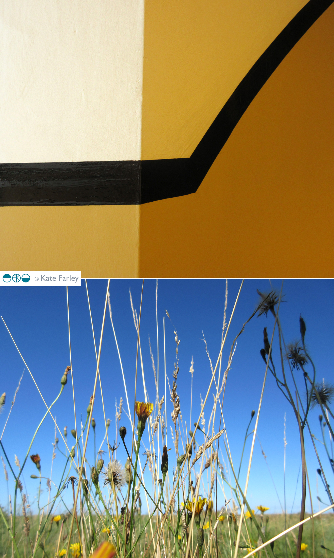 KateFarley_summergold17_100