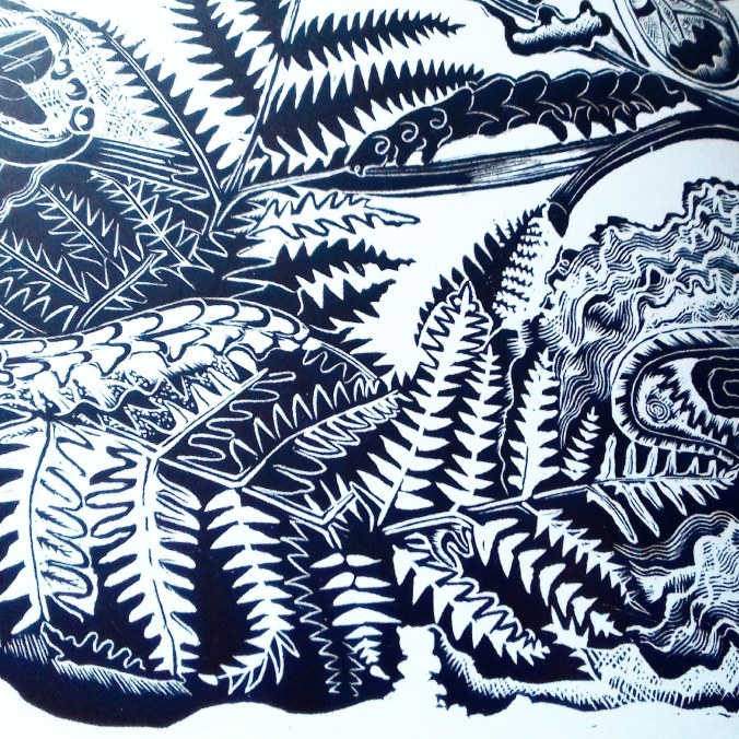 Butterflies_ENIDMARX