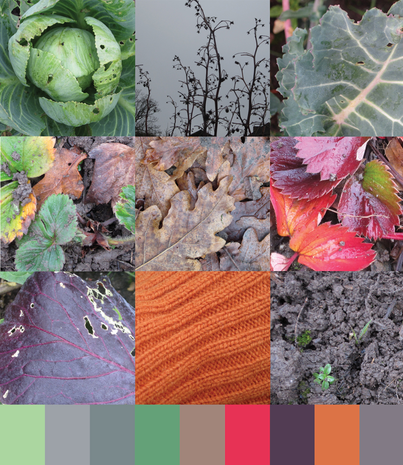 KateFarley_plotcolours