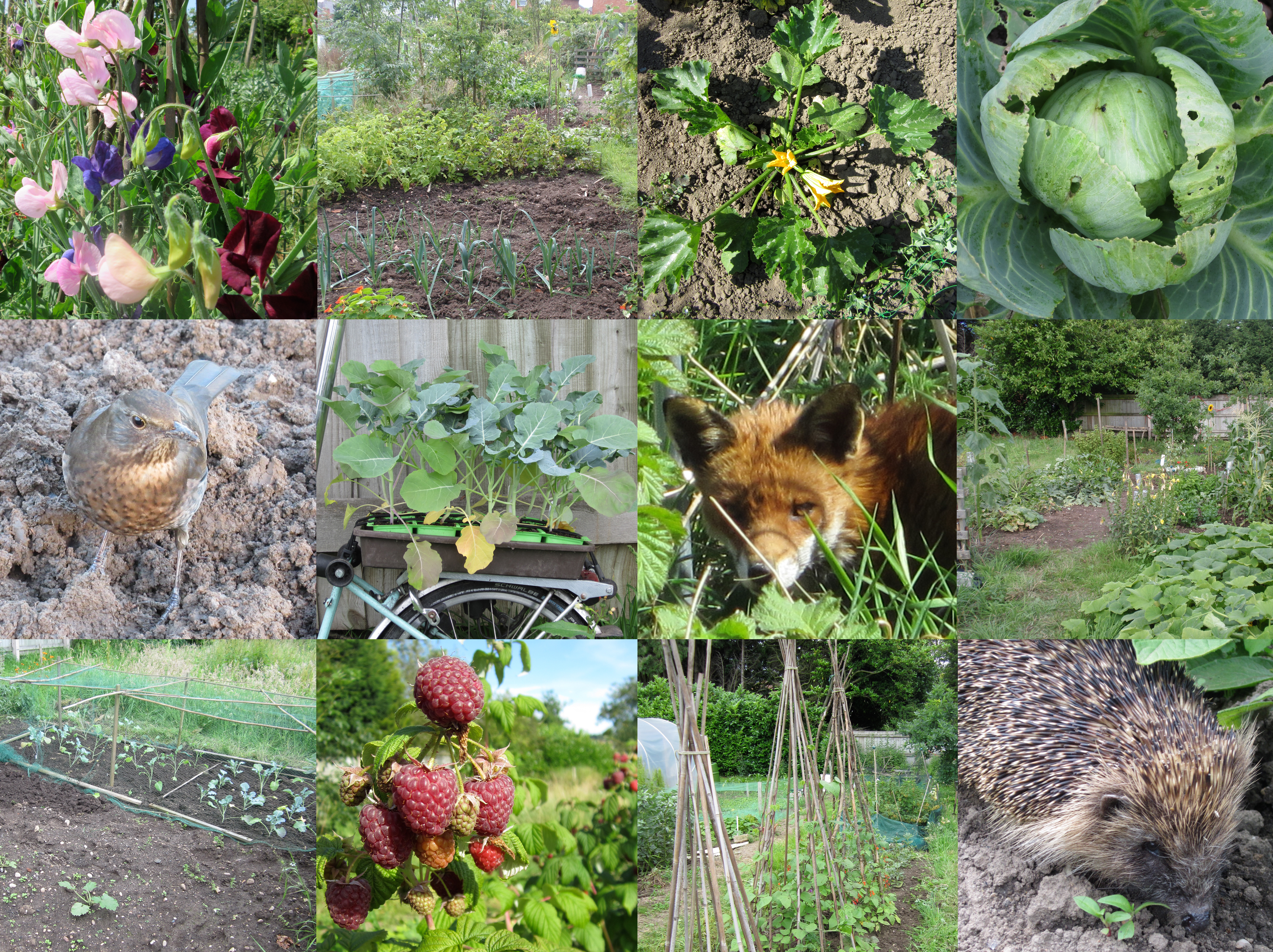 KateFarley_plotHISTORY