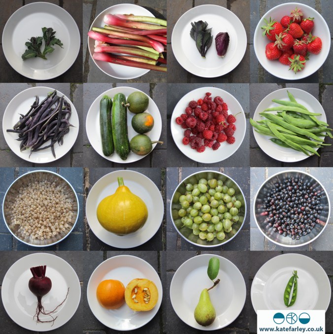 KateFarley_plottoplate_allotment pics_18_100 copy