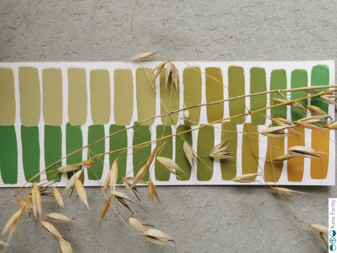 KFarley_grass_gouache